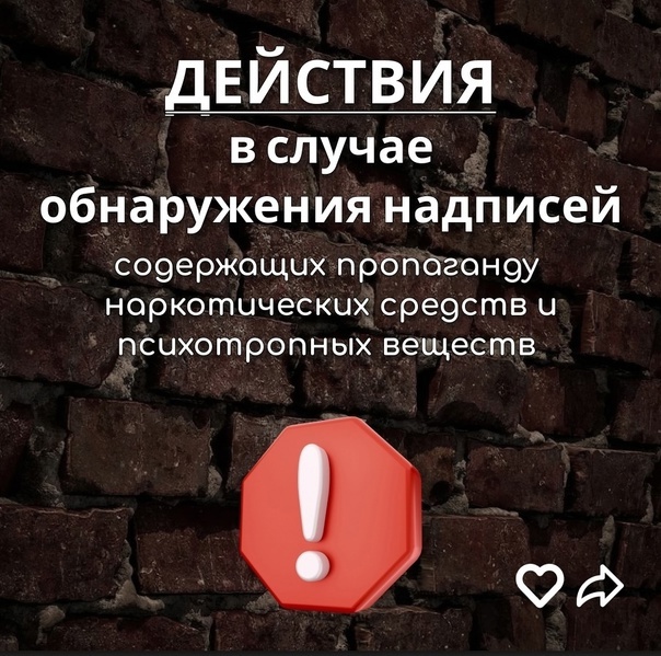 02122025мссс