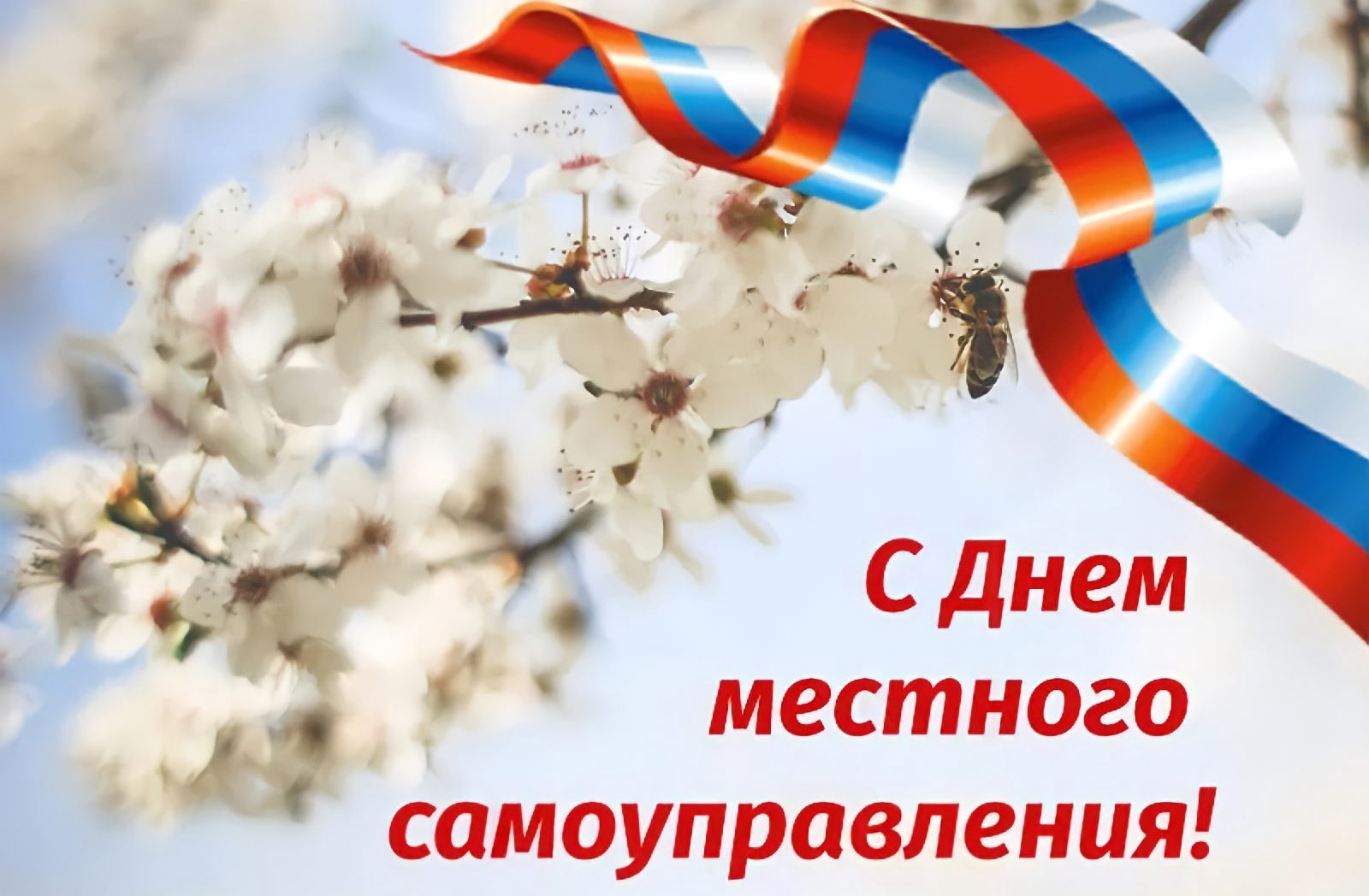 21042025cddfd